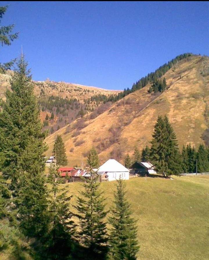 הוילה פלאב Isov Ranch מראה חיצוני תמונה